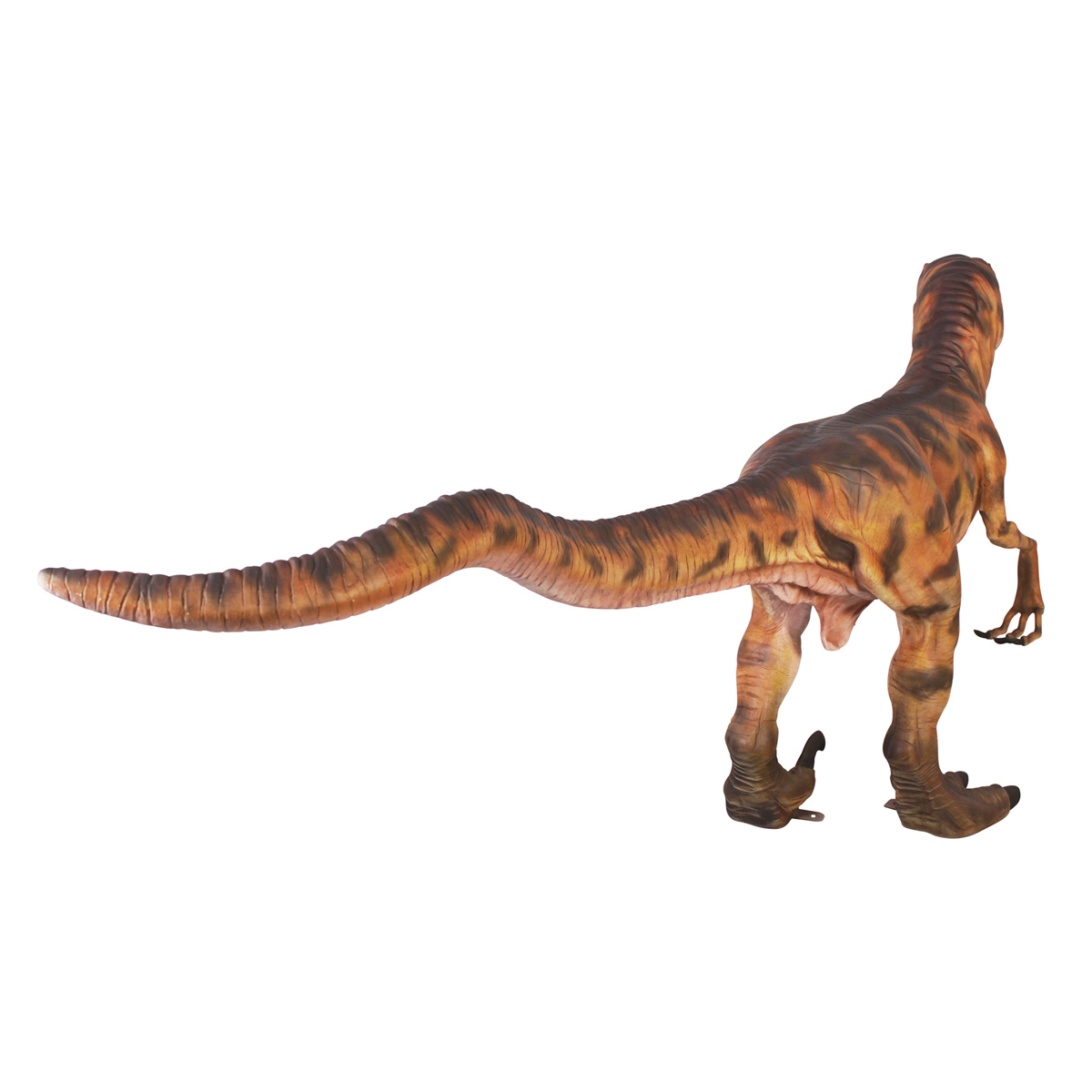 Image Thumbnail for Dt Deinonychus Dinosaur Statue